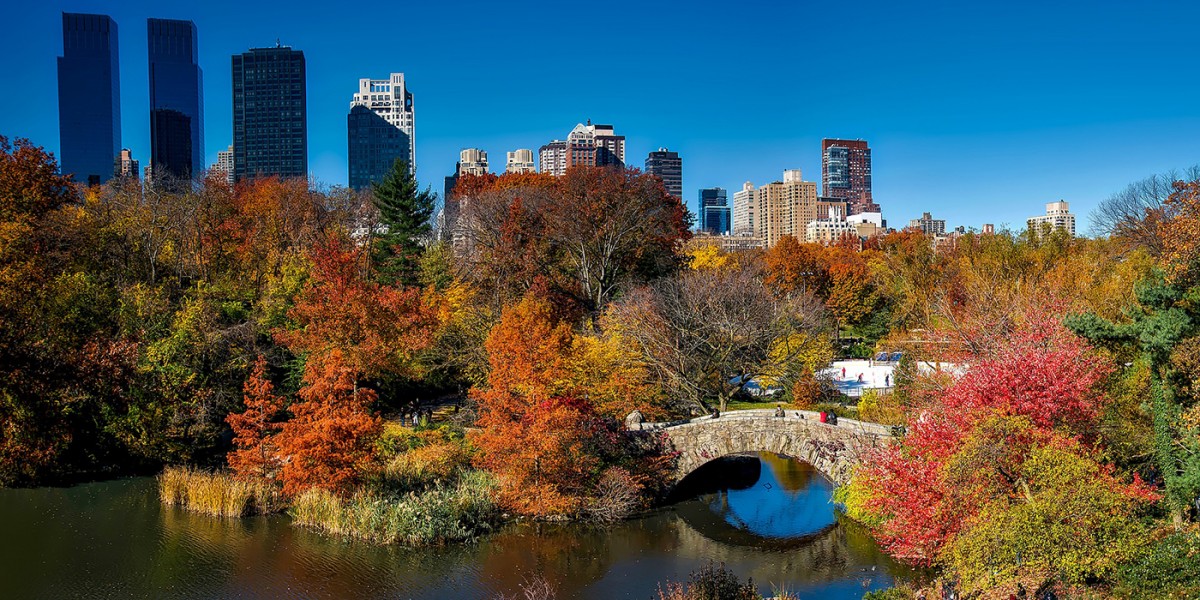 https://www.newyorkwelcome.net/kimg/1200/600/central-park-autunno.jpg