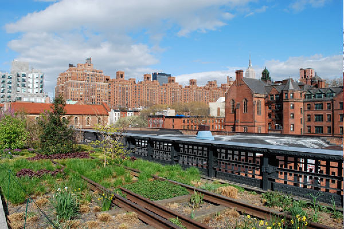 High Line NYC: Full Guide to the Elevated Park Including What to Eat